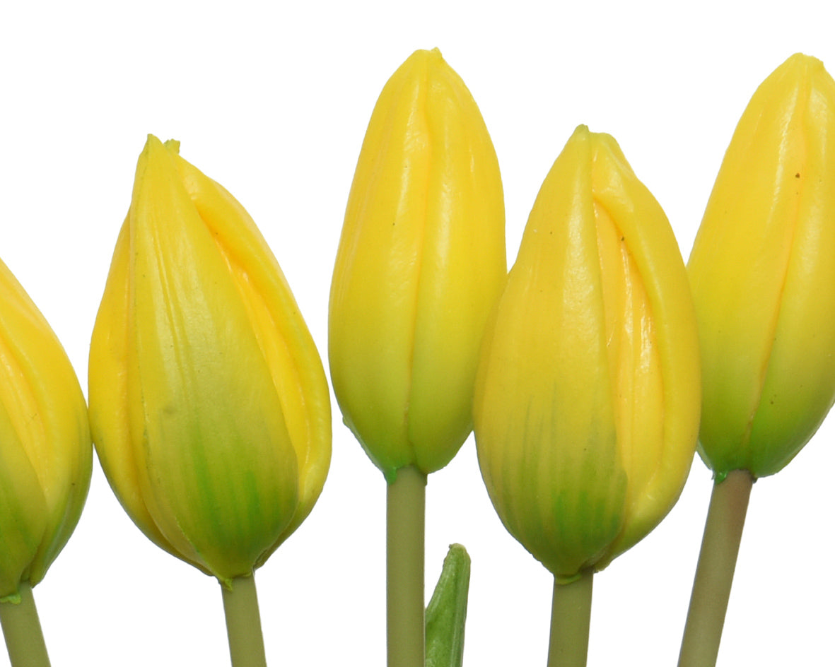 Sunshine yellow tulip bundle