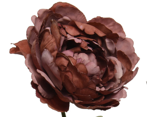3-headed deep pink peony stem