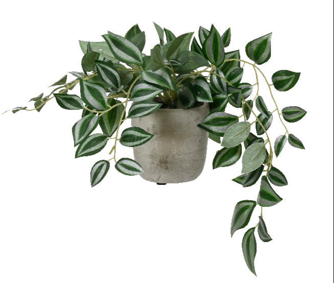 Potted faux chlorophytum