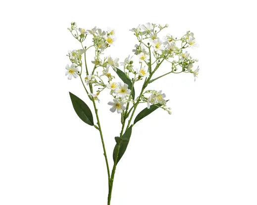 White Jasmine spray