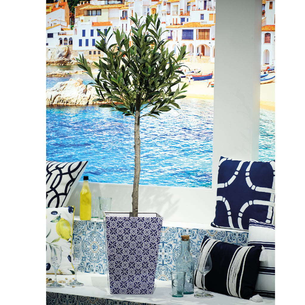 Olive tree in pot (120cmH)