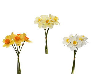 Daffodil bundles (3 Styles)