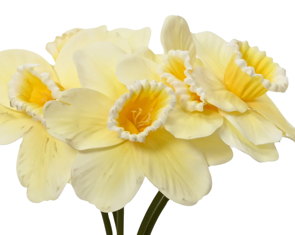 Daffodil bundles (3 Styles)