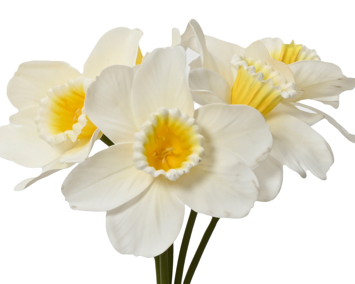 Daffodil bundles (3 Styles)