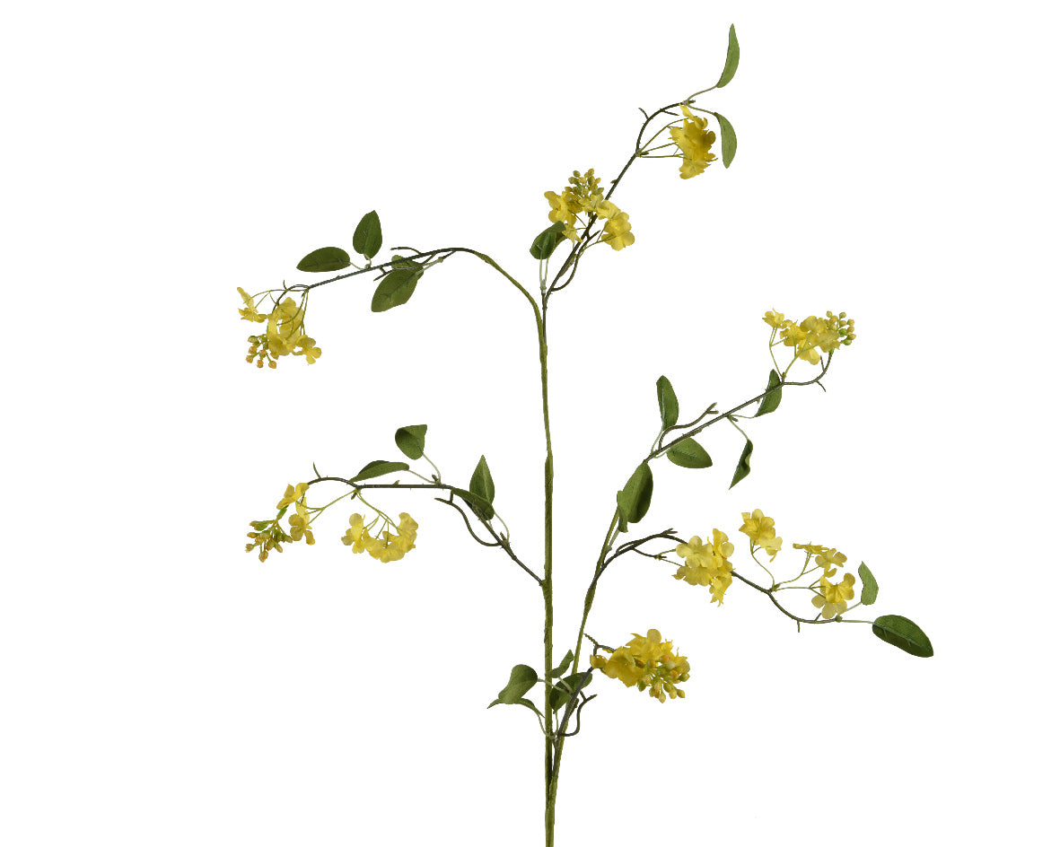 Flower pear blossom yellow stem