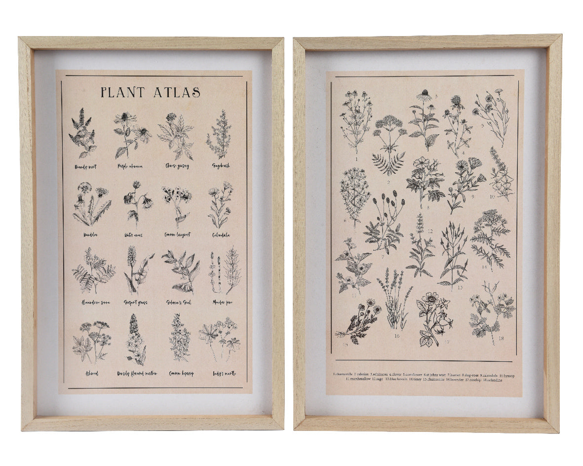 Framed plant atlas (2 Styles)