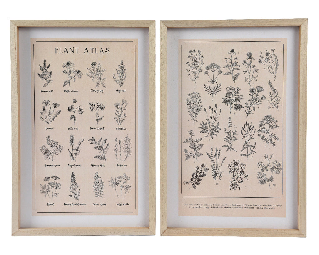 Framed plant atlas (2 Styles)