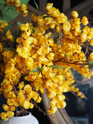 Tall yellow lantern spray