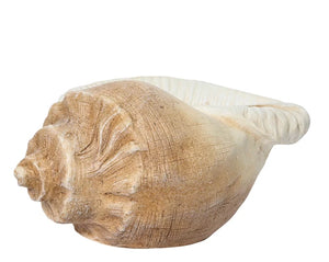 Sea shell shaped planter