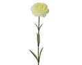 Buttermilk carnation on stem