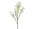 Gypsophylla spray
