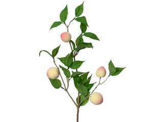 Peach on stem spray with leaves