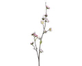 Cherry blossom with leaves on stem