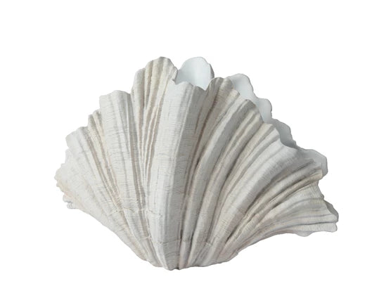 Large clam shell ornament