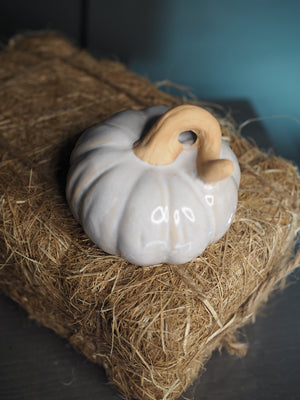 Cream glossy pumpkin