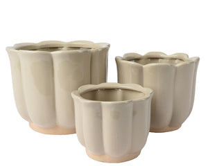 Cream flower head shaped planters