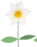 Two decorative flowers, one white with a yellow center and the other yellow with a white center, on a white background. There is also a cardboard packaging box with a flower design.
