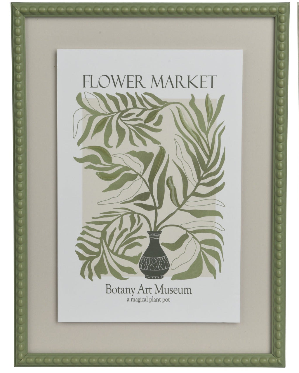 Two framed botanical prints from the Botany Art Museum on a white background.