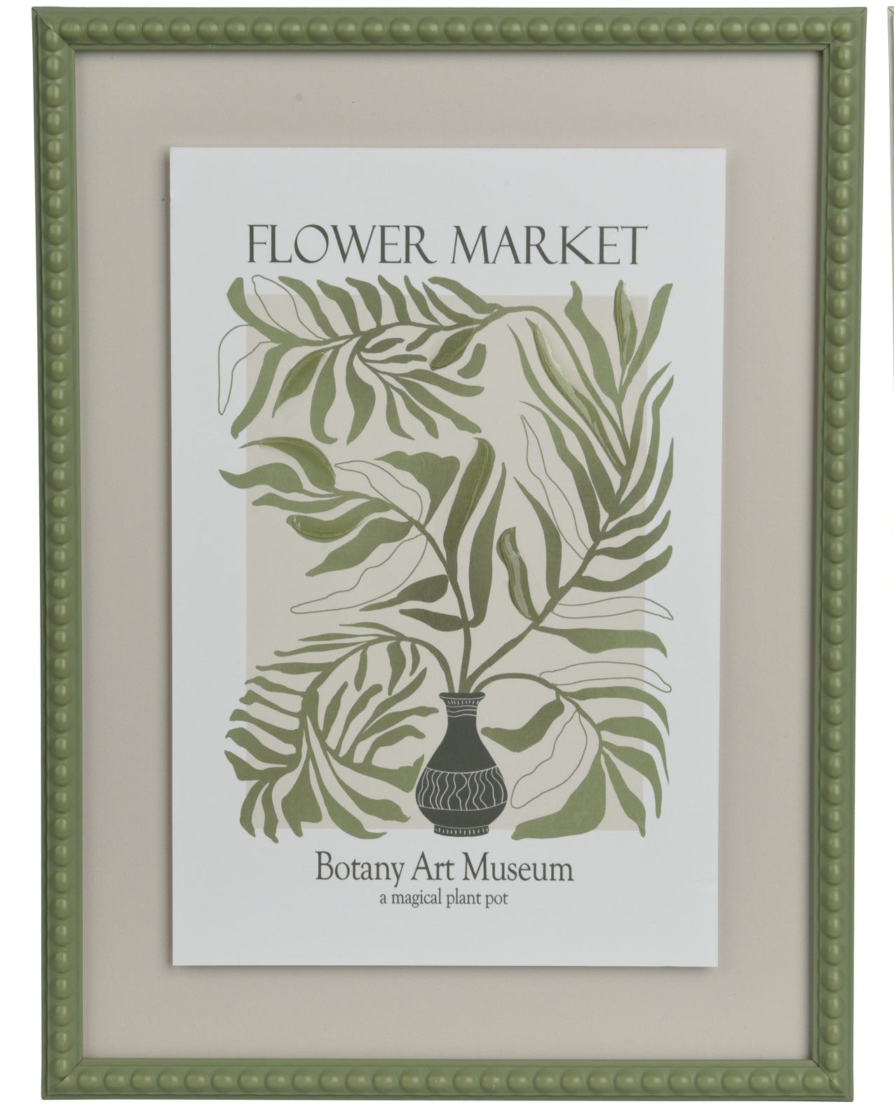Two framed botanical prints from the Botany Art Museum on a white background.