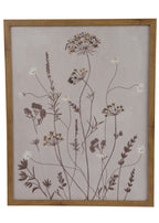 Two framed botanical wall art pieces on a white background