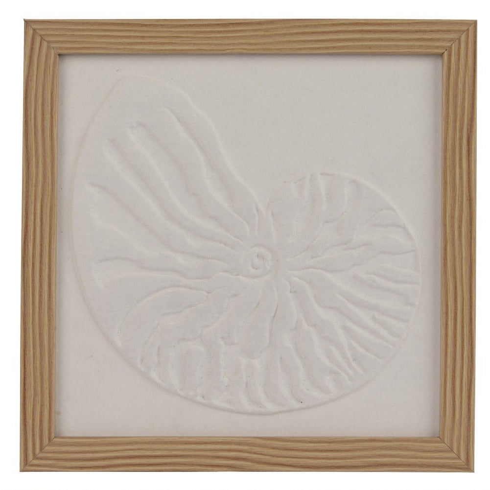 Coastal themed shell framed art