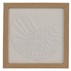 Coastal themed shell framed art