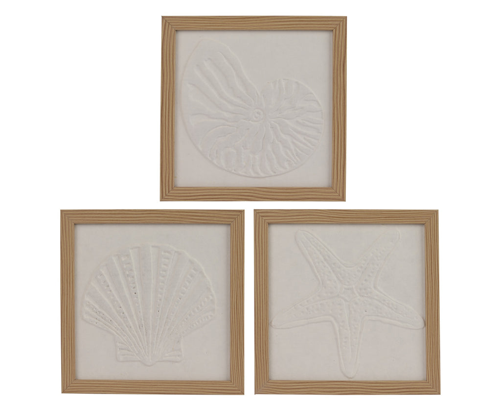 Coastal themed shell framed art