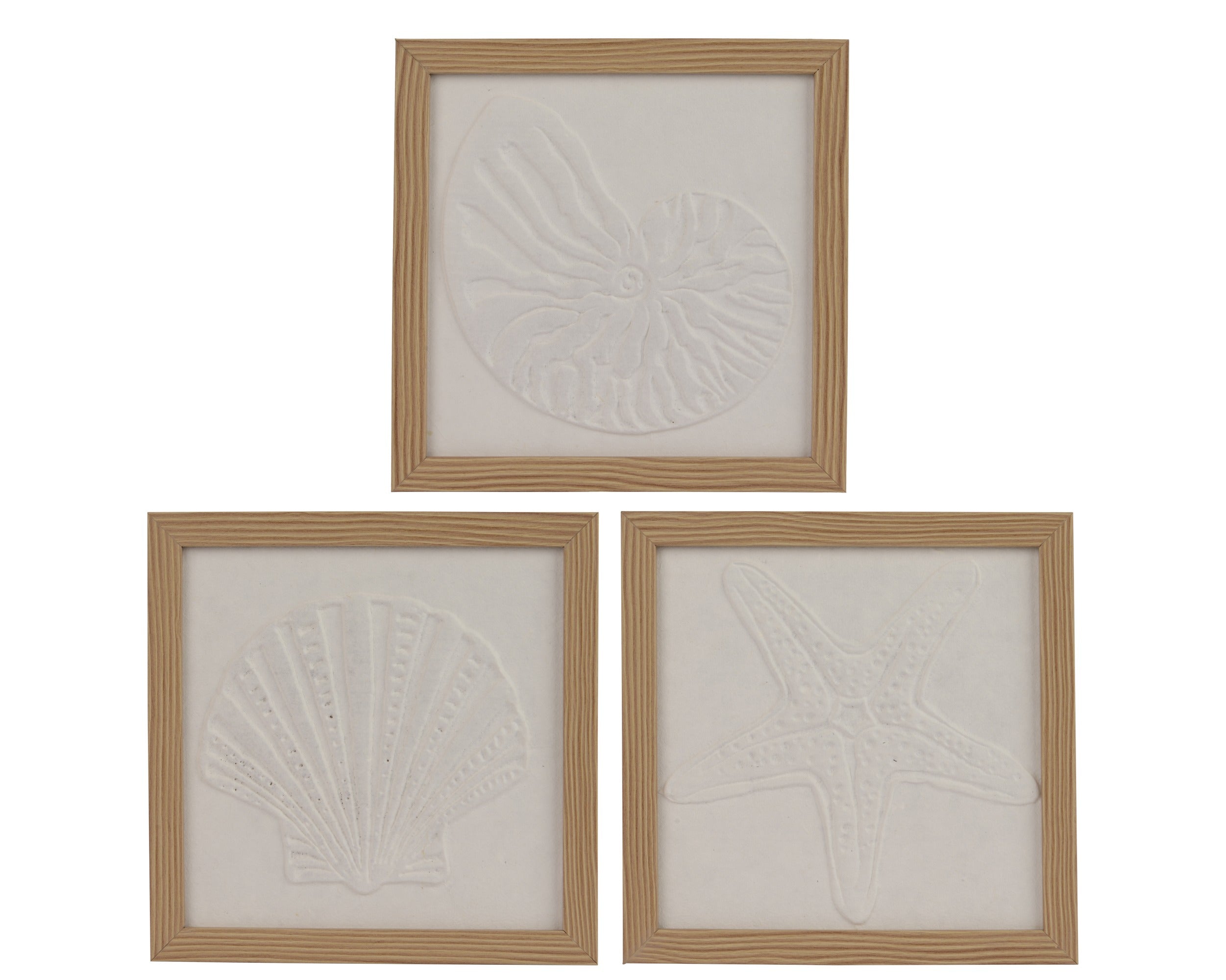 Coastal themed shell framed art