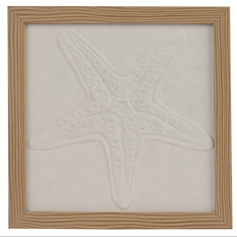 Coastal themed shell framed art