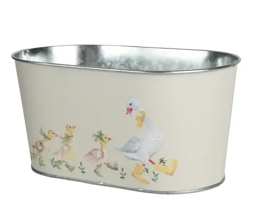 Duck planter