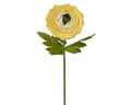 Large ranunculus on stem (110cmH)