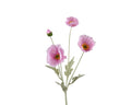Pink poppy spray