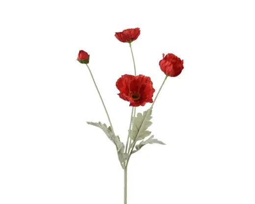 Red Poppy spray