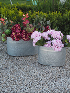 Planter zinc oval outdoor