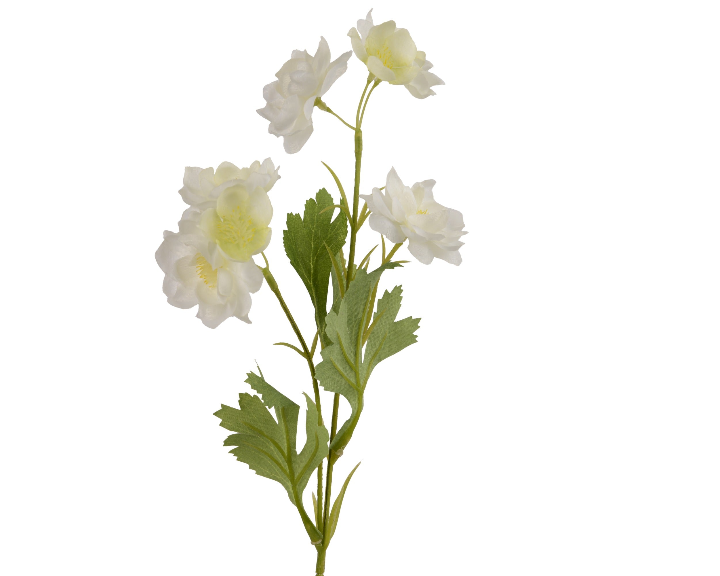 White bellflower blossom