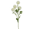 Scabiosa starball spray