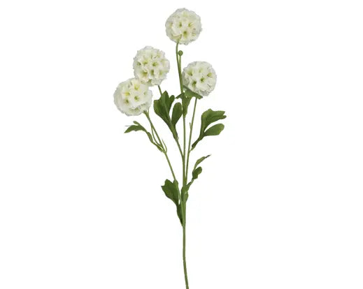 Scabiosa starball spray