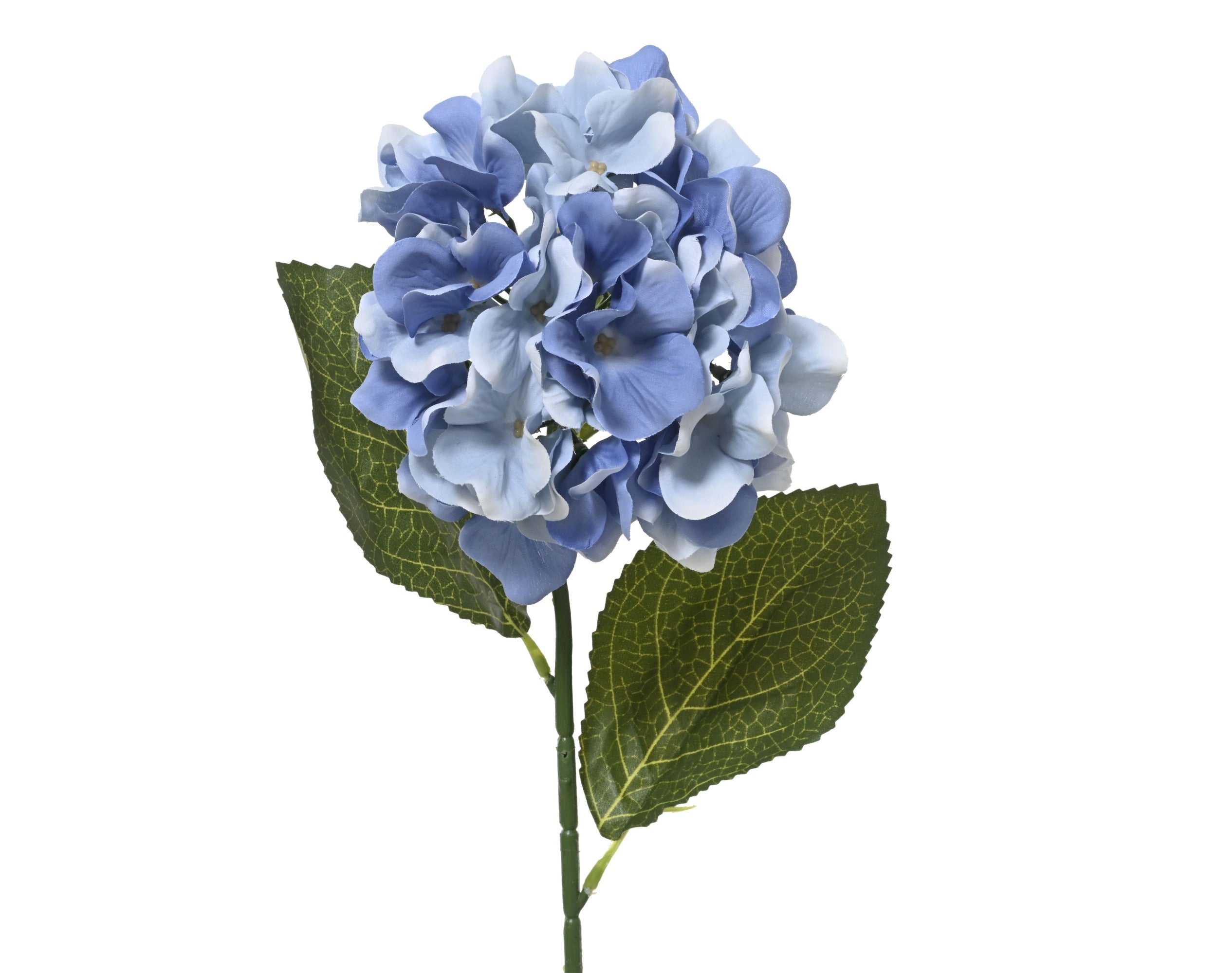 Blue hydrangea stem (66cmH)