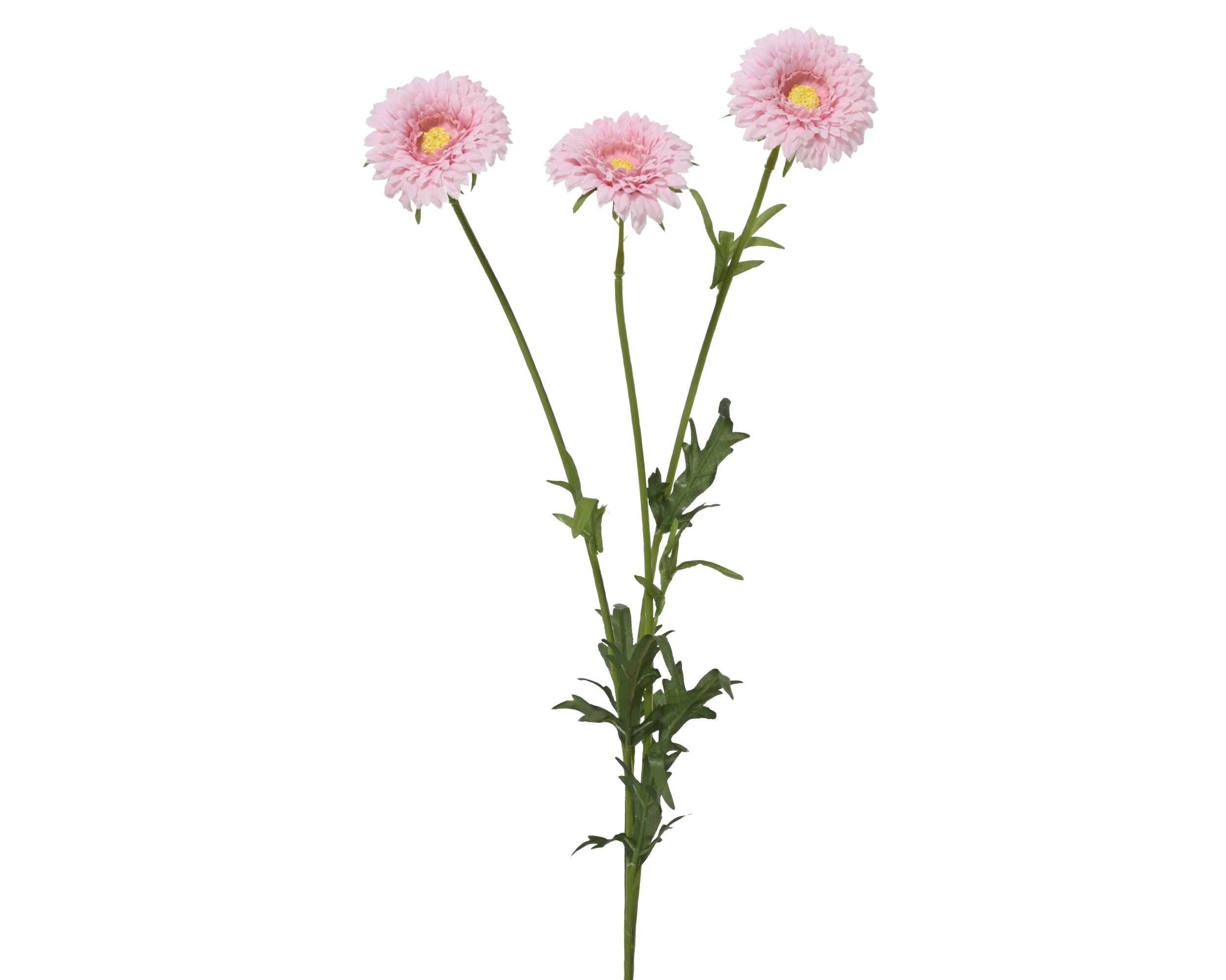 Pink marigold spray