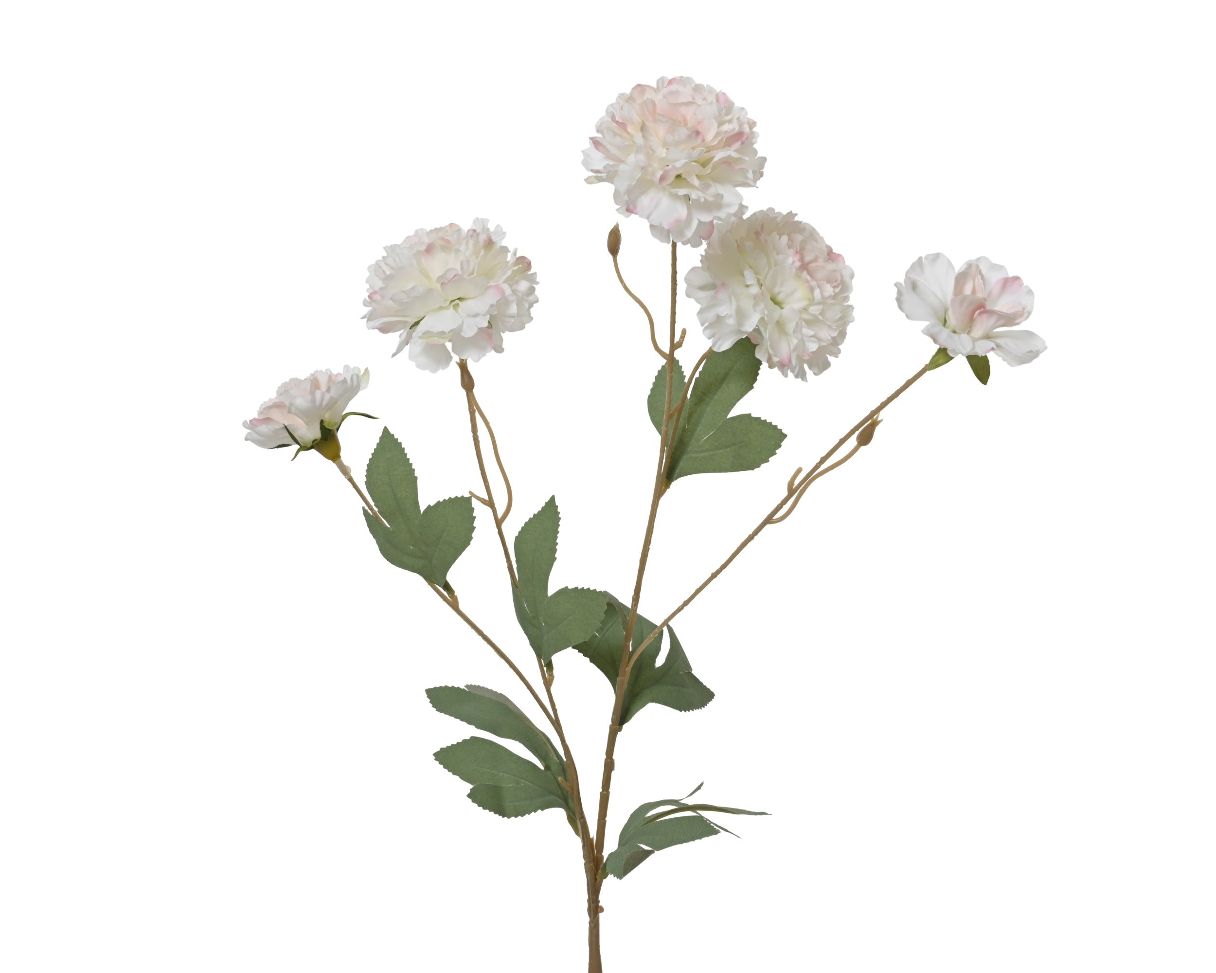 White and pink hibiscus spray