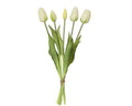 Cream yellow tulip bundle