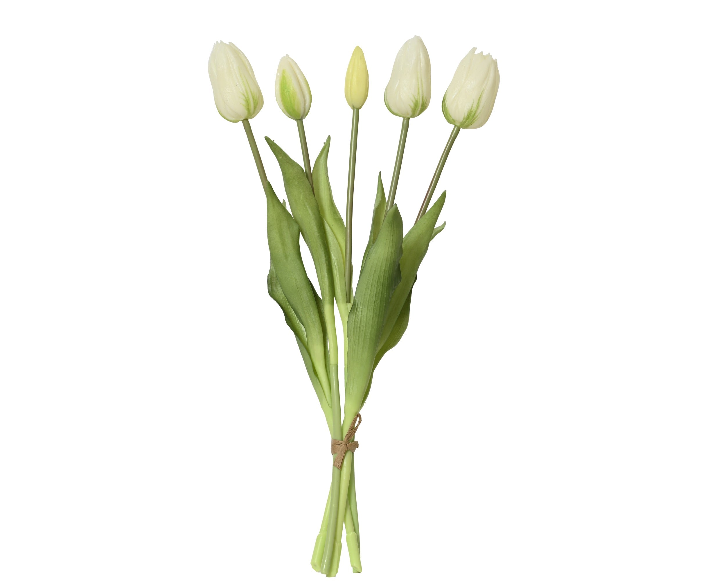 Cream yellow tulip bundle