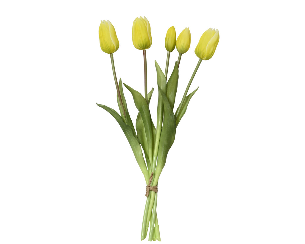 Sunshine yellow tulip bundle