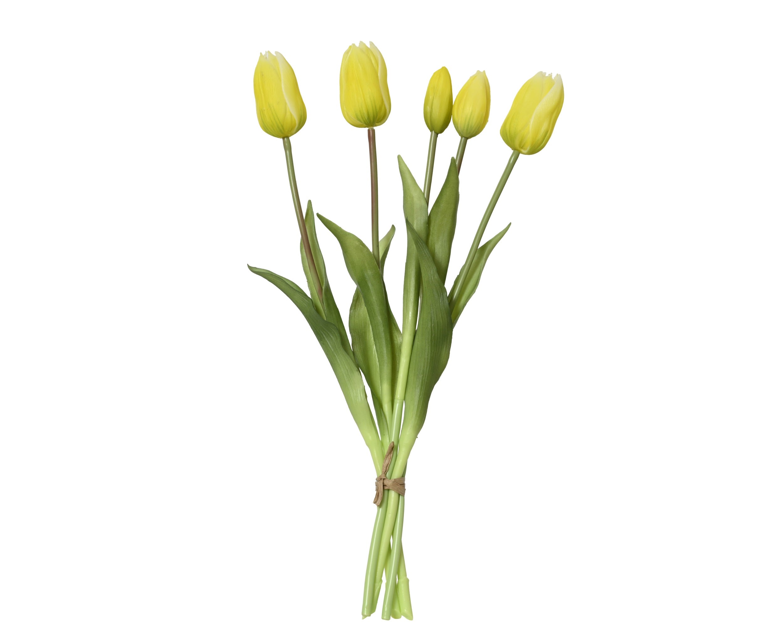 Sunshine yellow tulip bundle