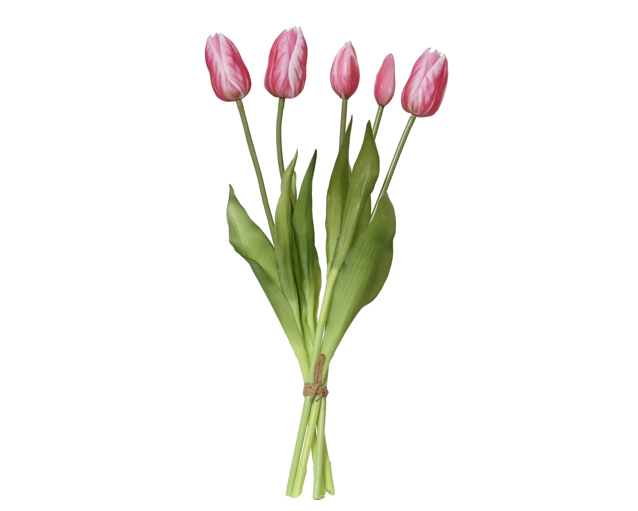 Fuchsia pink tulip bundle