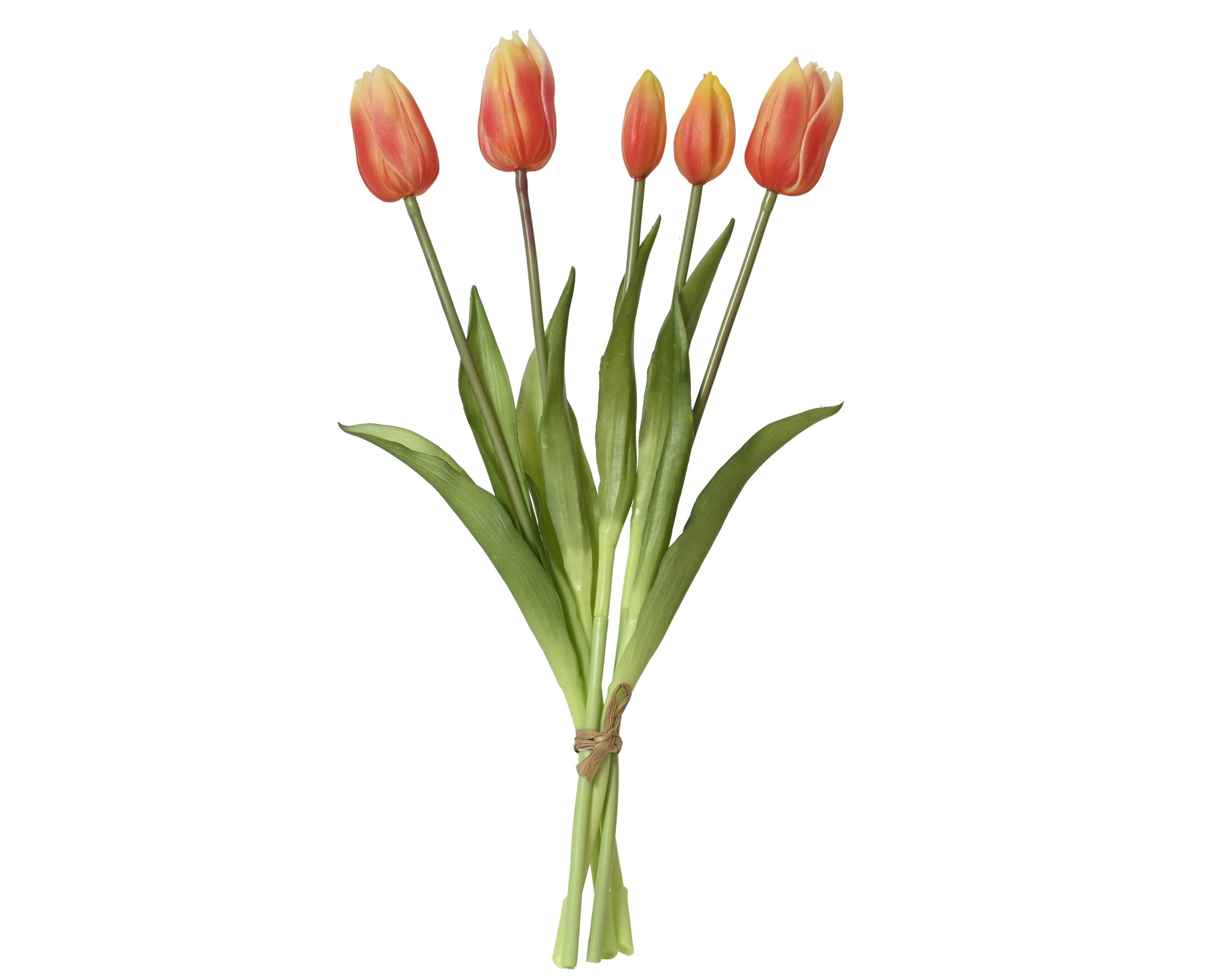 Orange pink tulip bundle