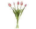 Baby pink tulip buncle