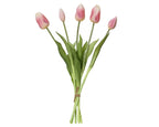 Baby pink tulip buncle