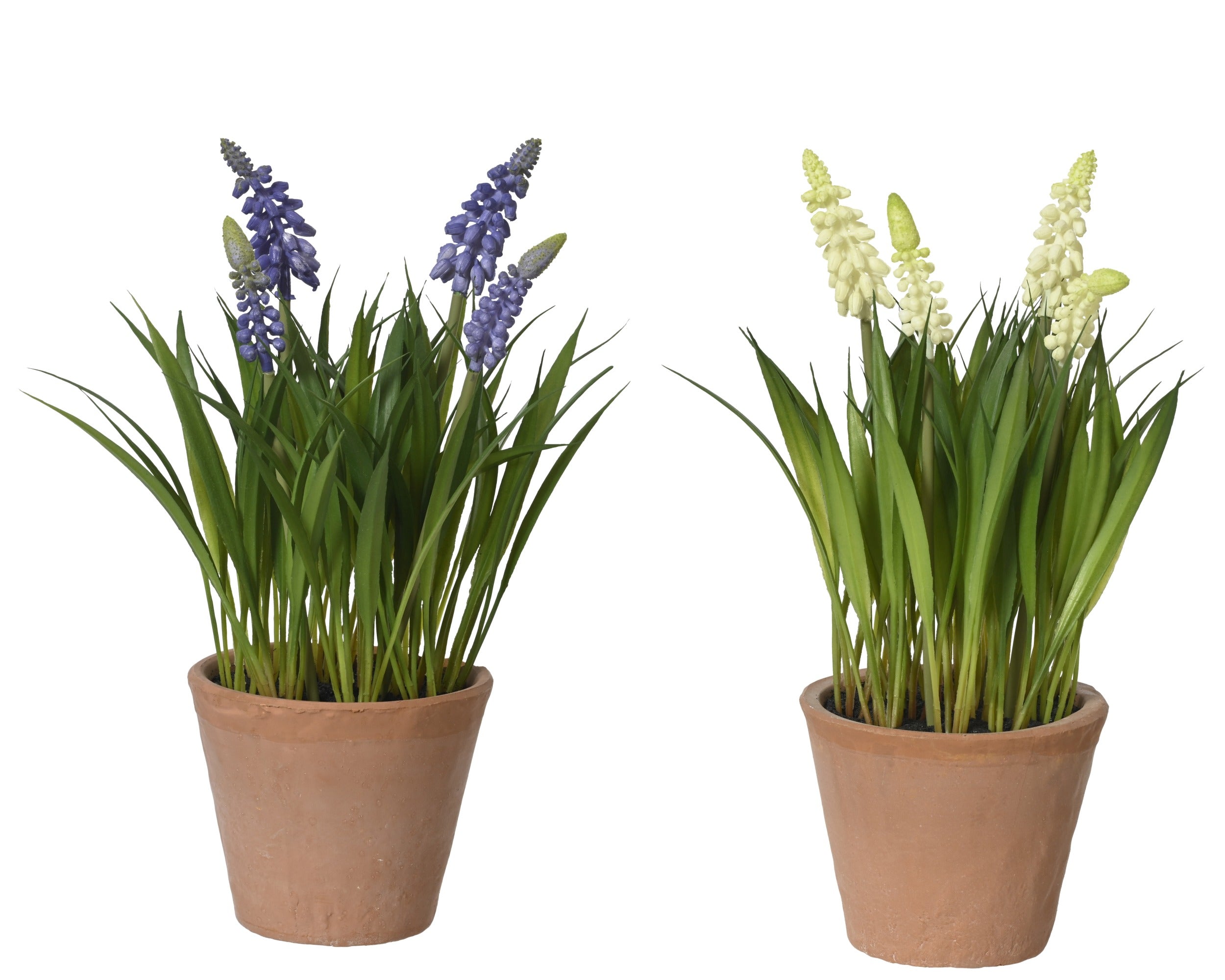 Potted faux muscari