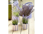Lavender plants in striped pot
